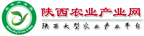 陜西農業(yè)產(chǎn)業(yè)網(wǎng)